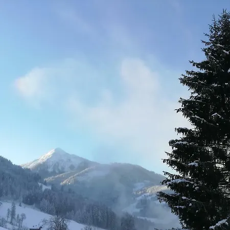 Lejlighed Gruber-hofer